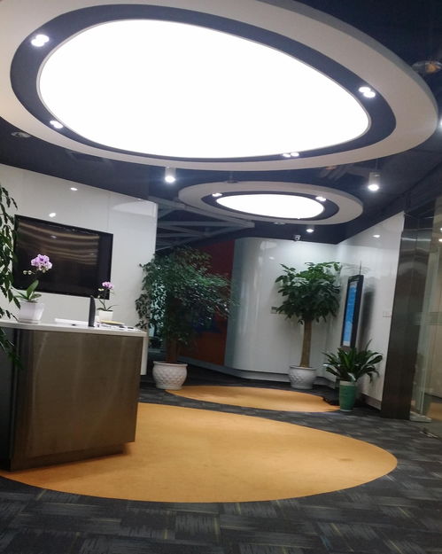 專注于網絡技術創新 上?；蹱木W絡科技的發展之路