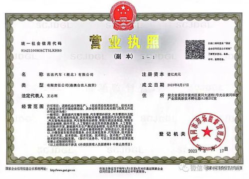 賈躍亭旗下ff注冊湖北公司 或為中國總部落地黃岡準備