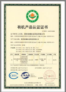 bu集團(tuán)創(chuàng)始股東石為 致力現(xiàn)代農(nóng)業(yè),構(gòu)建工廠化生產(chǎn),顛覆牛肝菌市場格局