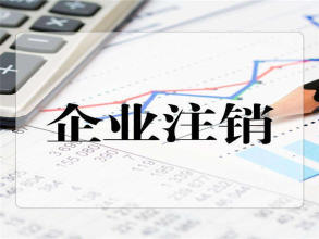 公司注冊 內(nèi)資公司注冊 國地稅報(bào)到等 廈門貿(mào)易公司注冊