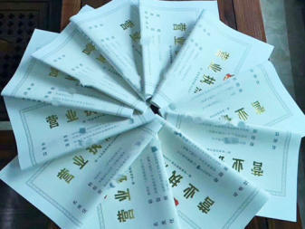 專業(yè)處理內(nèi)資公司注冊與公司名稱核準服務(wù)